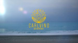 Carlino Aromas 120ml Premium French Essential Oil - Base Notes Blend for Enhanced Aroma in Home & Travel Aromas
