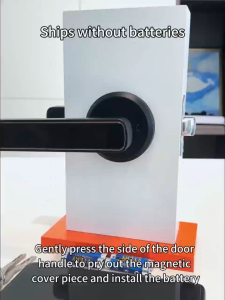 Tuya Bluetooth Smart Fingerprint Door Lock Door Handle Lock with Password Mechanical Key Suitable for Wooden Doors