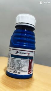 Amistartop 325SC 250ml Fungisida Syngenta Anti Jamur Ampuh