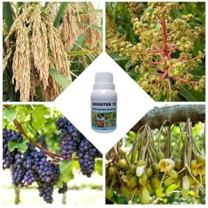BOOSTER 76 100ML hormon pembungaan dan pembuahan hormon pupuk buah