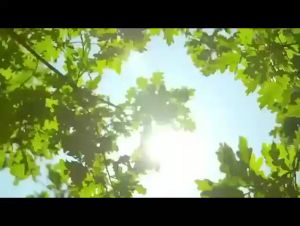 7 สี! MOXXOM LED ไฟฟ้า น้ำพูดี พลังงานที่จัดเก็บสามารถสร้างความแตกต่าง ชั่วโมงในเวลากลางคืน ขนาดใหญ่ สามารถหน้าใบได้สี่ถึงหก น้ำพูดี น้ำพูน้ำได้ น้ำในบ่อปลา น้ำในบริเวณ น้ำพูใช้สำหรับการบริหาร สามารถกำไรกับแผนที่ใช้งานได้ ไม่ต้องผ่