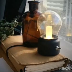 Lampu tidur bulb retro rechargeable Lampu meja LED 5W mini lamp hias built-in baterai kado lucu