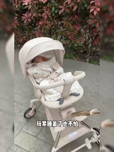 Lightweight Baby Stroller for Baby &Toddler Travel 360° Reversible SeatFoldable Pocket Stroller