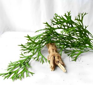 Daun Tanduk Rusa Artificial/ Daun Pakis Gantung / Dekorasi