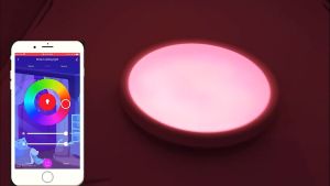 Tuya Wifi Smart Ceiling Light 36W RGB Dimmable APP Bluetooth Music Voice Control LED Ceiling Lamp for Room Decoration