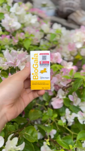 Biogaia Protectis Drops 5ml [Chính Hãng] Men vi sinh cho trẻ sơ sinh