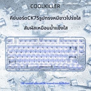 Coolkiller98 Polar Bear คีย์บอร์ดแบบมีสายไร้สาย 3-in-1 โปรตุเกส โปรตุเกส อุปกรณ์เสริมคอมพิวเตอร์แบบโปร่งใสสำหรับเล่นเกม