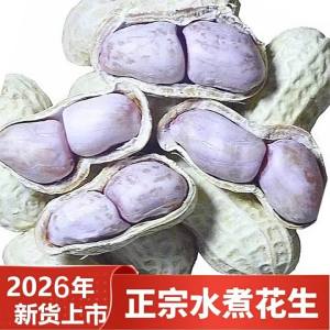 Salty Dry Boiled Peanuts Snack