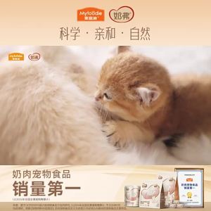 MYFOODIE | Thức Ăn Ẩm Mèo Tự Nhiên Từ Sữa & Thịt Cừu tươi
