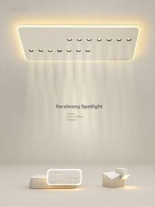 Minimalist Modern LED Ceiling Light