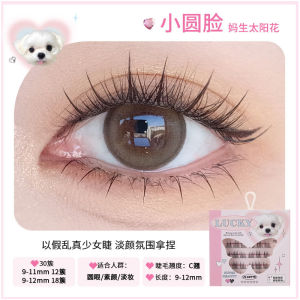 FLORTTE No Glue Cluster False Eyelashes Reusable Self‑Adhesive Segmented Lashes Natural Wispy Manga Eye Makeup Lashes