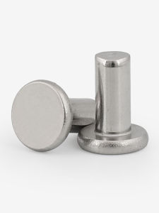 Solid Flat Head Rivet GB109 Punch Type 304 Stainless Steel Hardware Tools Rivets M2M3M4M5M6GG Fasteners Industrial Supplies