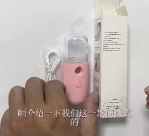 SG Stock Portable USB Nano Facial Sprayer Mist Spray Steamer Machine Face Hydration Moisturizing