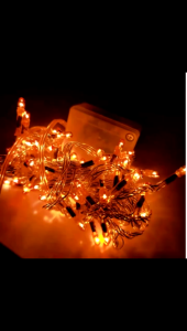 Christmas Light Rice Light 28/80L
