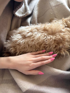 Barbie Pink Handmade Wearable Nail Tips Short High-End White Enhancing Solid Color Finished Nail Art False Nails Removable