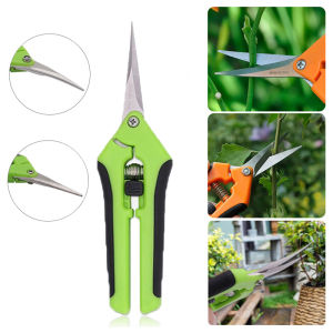 Fenteer Bonsai Micro Tip Pruning Shears: A Comprehensive Guide