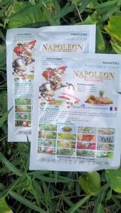 [Freeship Max] Trừ bệnh thán thư sương mai Biorosamil 72WP (Hoạt chất Metalaxyl + Mancozeb) gói 100gram_THIEN THINH SHOP