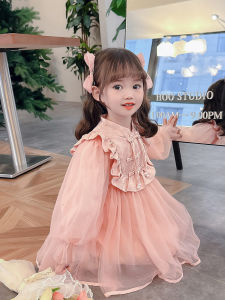 Princess Style Girls Dress Spring Autumn 2023 New Fashion Mesh Baby Girl Skirt Sweet Style Long Sleeve mid Waist Zipper