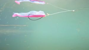 SAWA-D GENNO LUMINOUS SOFTBAIT 10CM FREE BKK WORM HOOK FISHING LURE