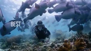 SCUBAPRO MK25 EVO S620TI R195 Regulator Set Pro Set สุดคุ้ม อุปกรณ์หายใจดำน้ำ SCUBA