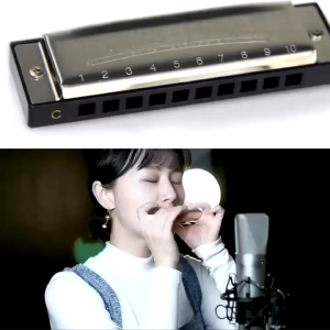 Silver Metal Swan Harmonica 10Holes Key of C: A Comprehensive Guide for Beginners & Professionals