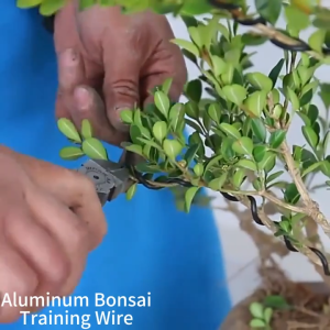 5M Bonsai Wire Aluminum Black Air Plants Wire Bendable Garden Tie Wire Vine Training Tool