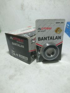 Bearing 6004-2RS isi 10