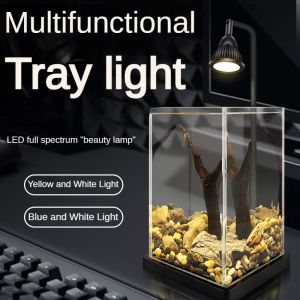 Fish tank LED micro landscape plant fill light desktop aquarium tank spotlight water grass succulent moss growth light