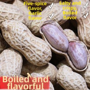 Five Spice Salty Dry Peanuts with Shell