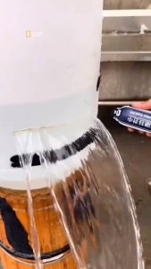 Waterproof Silicone Sealant High Adhesion Quick-Drying Sunroom Curtain Wall Special Glue