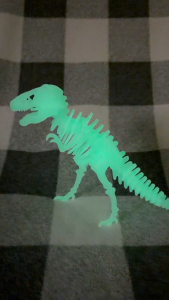 Dinosaur T-Rex Skeleton Kit Card – Build It Watch It Glow!