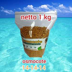 pupuk osmocote 14-14-14 1kg pupuk osmocote dekastat pupuk kaktus pupuk sukulen pupuk bonsai pupuk sr pupuk slow release pupuk bunga osmocote 14-14-14 osmocote 141414 pupuk osmocote 141414