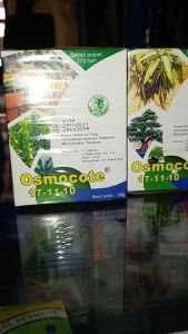 Pupuk Decastar 100gram & Osmocote 17 11 10: Panduan Lengkap
