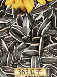 เมล็ดส้มสดขนาดใหญ่บรรจุในถุงแบบขายส่งและขายปลีก 10 ปอนด์ 2025 เมล็ดพืชใหม่รสชาติธรรมชาติ ขนมจอร์จีนแผ่นดินใหญ่