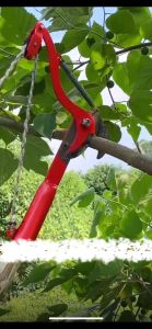 กรรไกรตัดกิ่ง กรรไกรตัดกิ่งไม้ กันไกรรตัดกิ่ง ตัดกิ่งไม้เร็ว ประหยัดแรงงาน กรรไกรสวนมืออาชีพมากขึ้น กรรไกรตัดกิ่ง น้ำหนักเบา