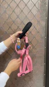 Tali Tuntun Anjing Kucing & Aksesoris Hewan Peliharaan