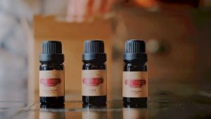 Tinh Dầu Cúc La Mã | Tinh Dầu Nguyên Chất Farm & Forest | Hương Thơm Dịu Nhẹ An Thần Sâu & Dưỡng Da Nhạy Cảm