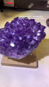 Johor Ready stock 🔮 🌸 乌拉圭紫水晶花 · Rare Amethyst Flower 🌸