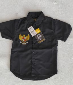 kemeja karakter anak  laki2