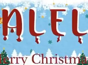 PVC ที่ใช้ซ้ำ ต้นคริสต์มาส ขนาด90/150/180/210 ต้นไม้คริสต์มาส ตกแต่งคริสต์มาส ต้นคริสต์มาสปลอม แถมของห้อย1ถุง ไม้สนเทียม