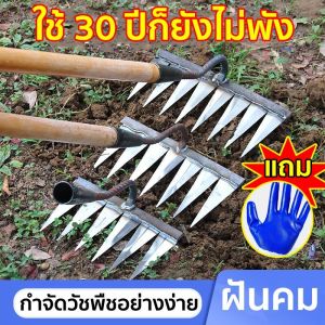 ทนทาน!10ปีไม่พัง! คราดหญ้า คราดเหล็ก 6/7ฟัน คาดหญ้า วัสดุเหล็กกล้าคาร์บอนสูงขอบคมเก็บ อุปกรณ์ทำสวน กำจัดวัชพืช ใช้ขุดดิน ขุ่นถางหญ้าดายหญ้า