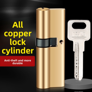 Door Cylinder Biased Lock 65 70 80 90 100mm Cylinder AB Key Anti-Theft Entrance Brass Door Lock Lengthened Core Extended Keys