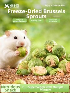 YUEXIAOMENG | Dried Spores Snack Kit for Hamsters