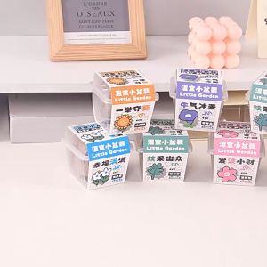 Sprout Cube｜Transparent Plant Kit with Soil + Seeds