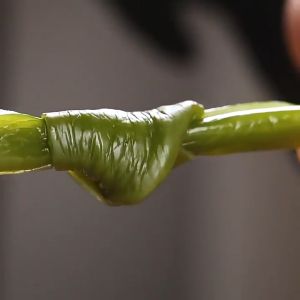 现货MY 超友味-海带结-鲜爽香辣味 150G Yo!Man-Kelp Knot-Fresh Spicy Flavor 150G