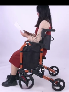 2 in 1 Rollator Walker for Seniors Lightweight Foldable Rollator Pushchair with Side Small Bag Rolling Walker with Seat Aluminum Walkers with 8 inch Solid Rear Wheels All Terrain Ergonomic Seat and Backres  for Seniors and Adult