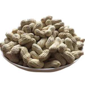 Salty & Crispy Sunflower Seeds in Shell with Garlic and Five Spice Flavors