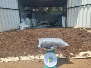 Akar pakis 1kg cacah media tanam anggrek steril