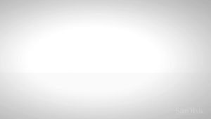 SanDisk Ultra USB 3.0 Flash Drive 16GB-256GB