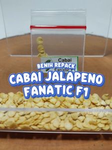 Benih Cabai Jalapeno Fanatic F1 Unggulan Berkualitas Biji Bibit repack cabe hijau pedas sambal sambel hydroponik hidroponik tanaman berbiji pot